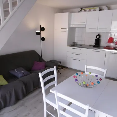T2 Mezzanine 5 Pers, Clim, Terrasse, Parking, Proche Et Commerces - Fr-1-795-16 * فلوري